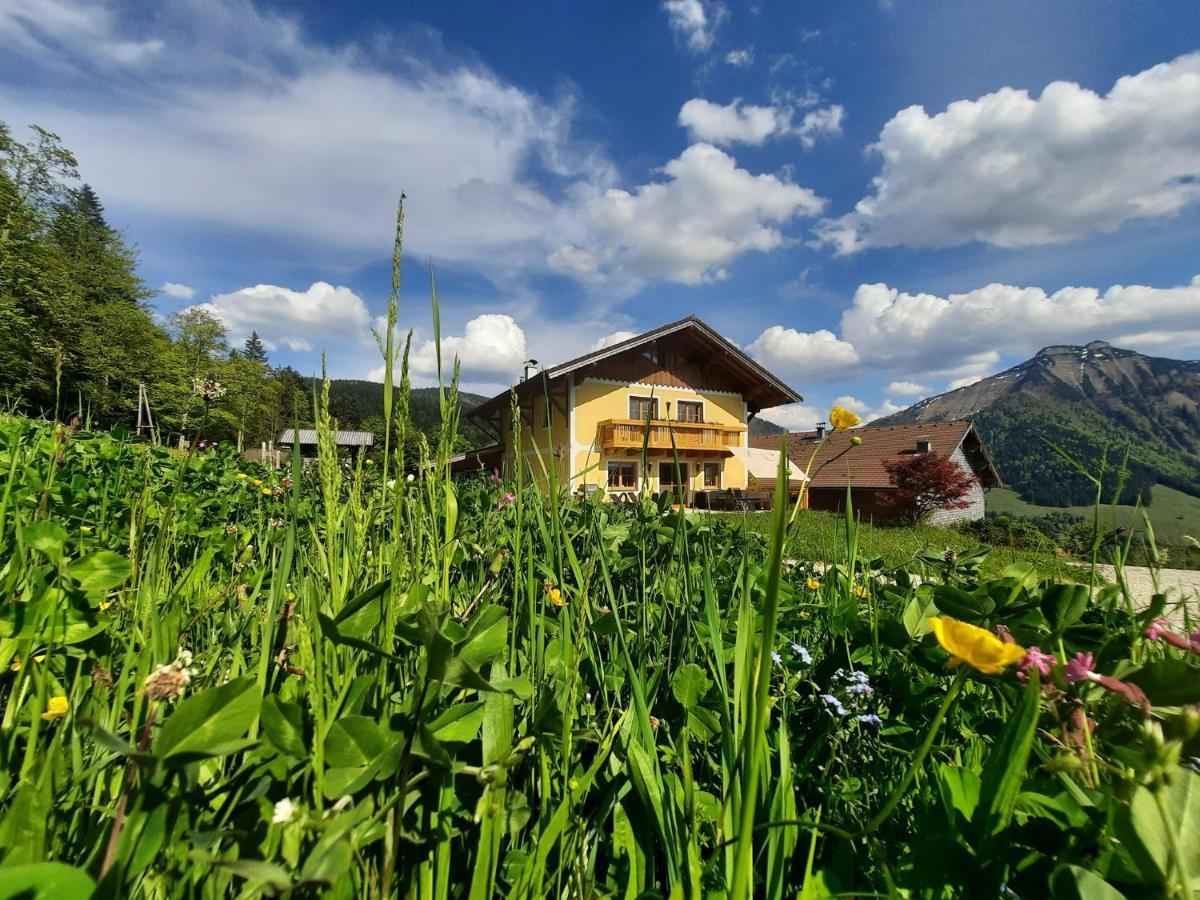 Appartement Reitlhof, Bio Berg Bauernhof Krispl ภายนอก รูปภาพ