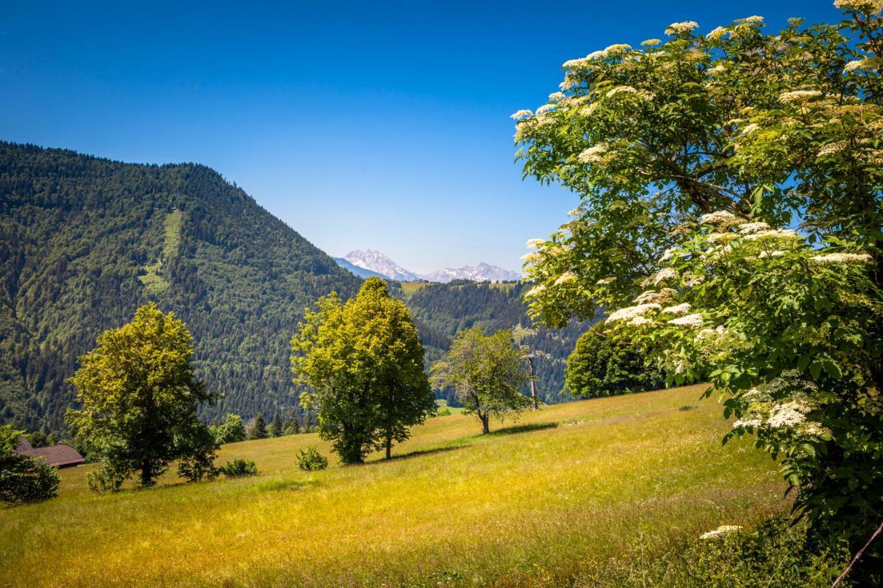 Appartement Reitlhof, Bio Berg Bauernhof Krispl ภายนอก รูปภาพ