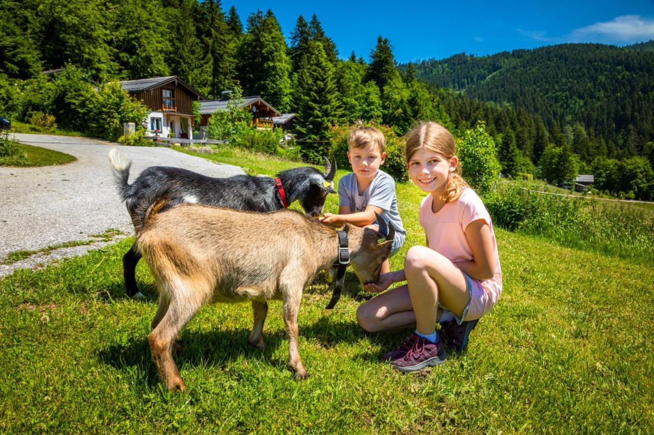 Appartement Reitlhof, Bio Berg Bauernhof Krispl ภายนอก รูปภาพ